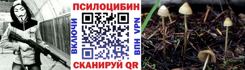 Галлюциногенные грибы прущие грибы  Чекалин 